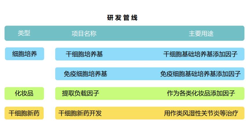 研发管线