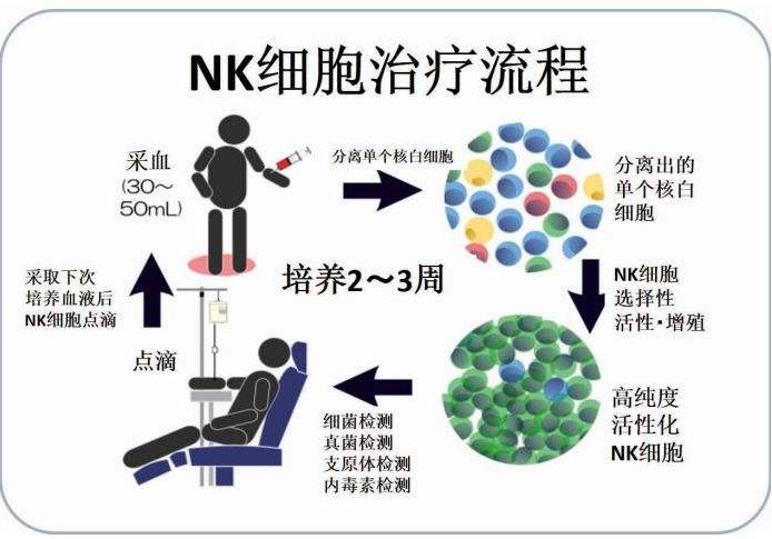 NK细胞免疫疗法内页1