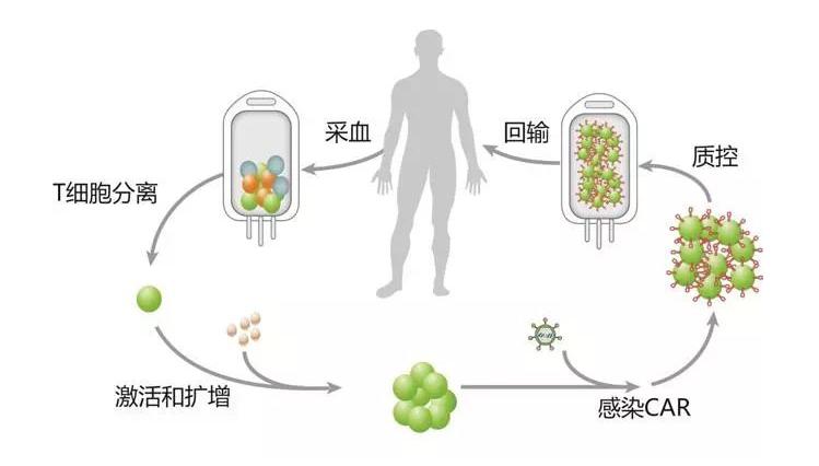 CAR-T细胞免疫疗法内页1
