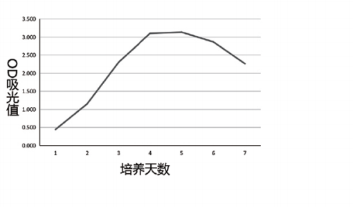 间充质 3.png