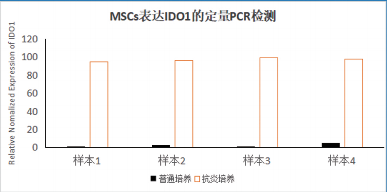 抗炎 1.png