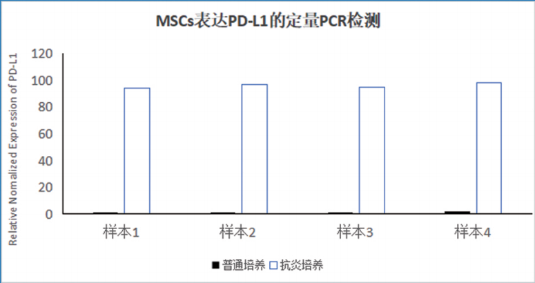 抗炎 2.png